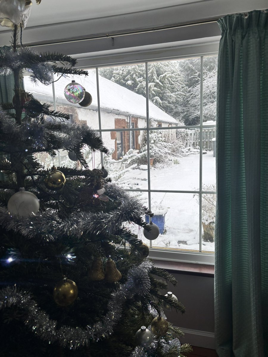 David Linden 🏴󠁧󠁢󠁳󠁣󠁴󠁿🏴󠁧󠁢󠁳󠁣󠁴󠁿 (@qosfc1919) on Twitter photo 