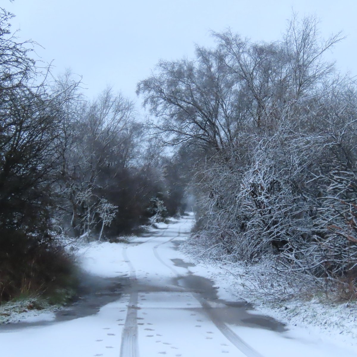 A snowy Chat Moss, Irlam, UK this morning #loveukweather #uksnow #snow <a href="/SnowbieWx/">Sryan Bruen</a> <a href="/AnthonyStorms7/">Anthony's Stormy World ⚡️🌎</a> <a href="/ChadWeather/">Oldham Weather</a> <a href="/GavinPartridge/">GavsWeatherVids</a> <a href="/Petagna/">Marco Petagna</a>