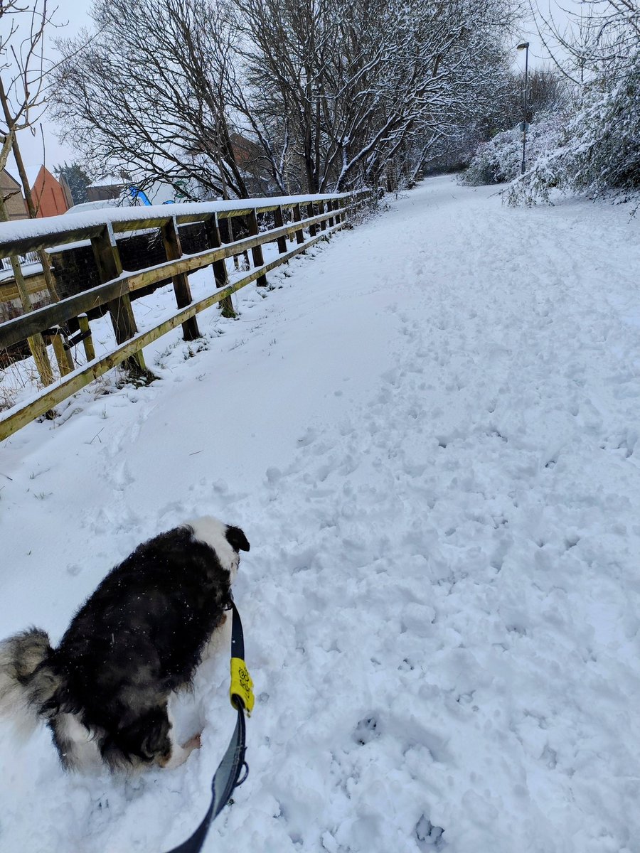 🌈🙏 Reverend Canon Catherine D Binns tweet media