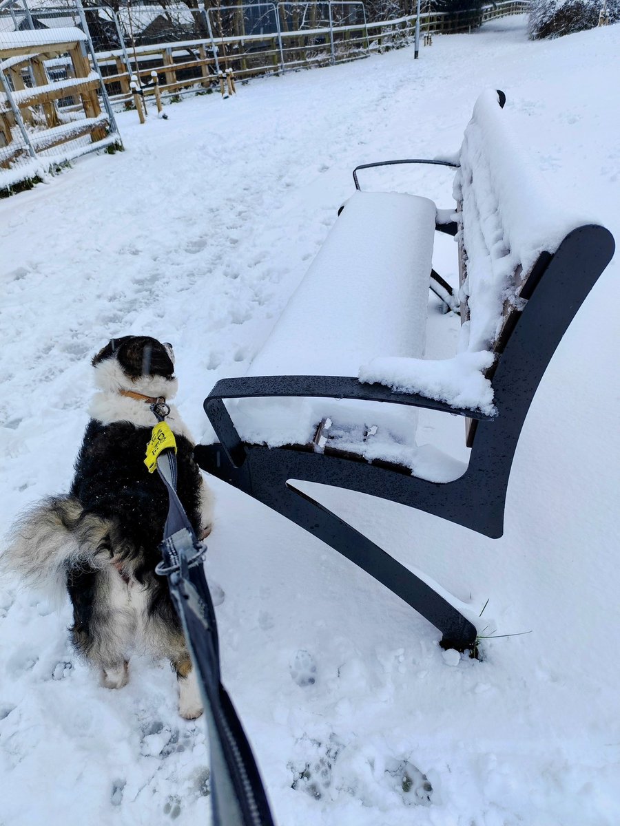 🌈🙏 Reverend Canon Catherine D Binns tweet media