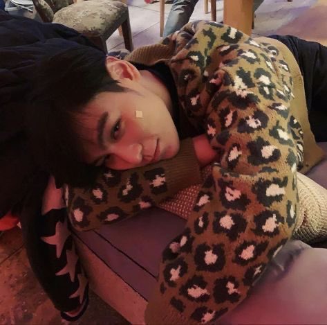 1119yra's tweet photo. ˗ˏˋ hi i'm yra 

—  i'm looking for interactive moots !

            ʚɞ not new to #stantwt #kpoptwt
            ʚɞ she/her, 07, infp, aries
            ʚɞ multi stan: svt, skz, txt, zb1, enha
            ʚɞ any fandom is welcome !

↺ or ♡ to spread &amp; be mutuals 🫶🏻 https://t.co/5Ad1Yk9sLK