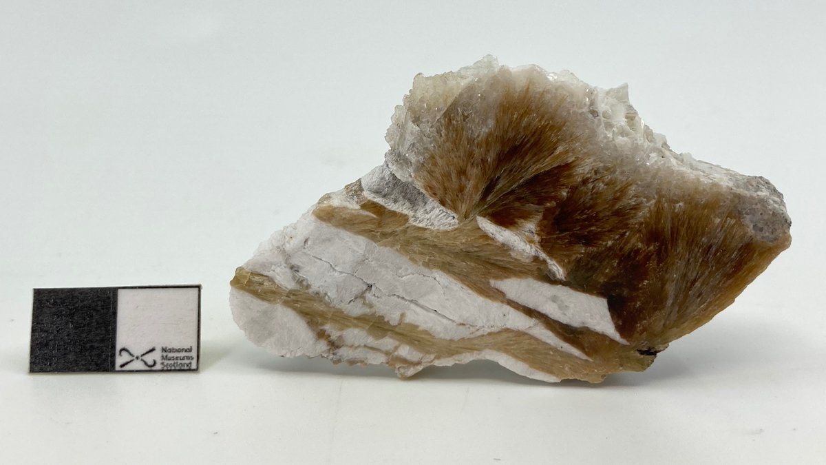 The Scottish Geology Trust tweet media