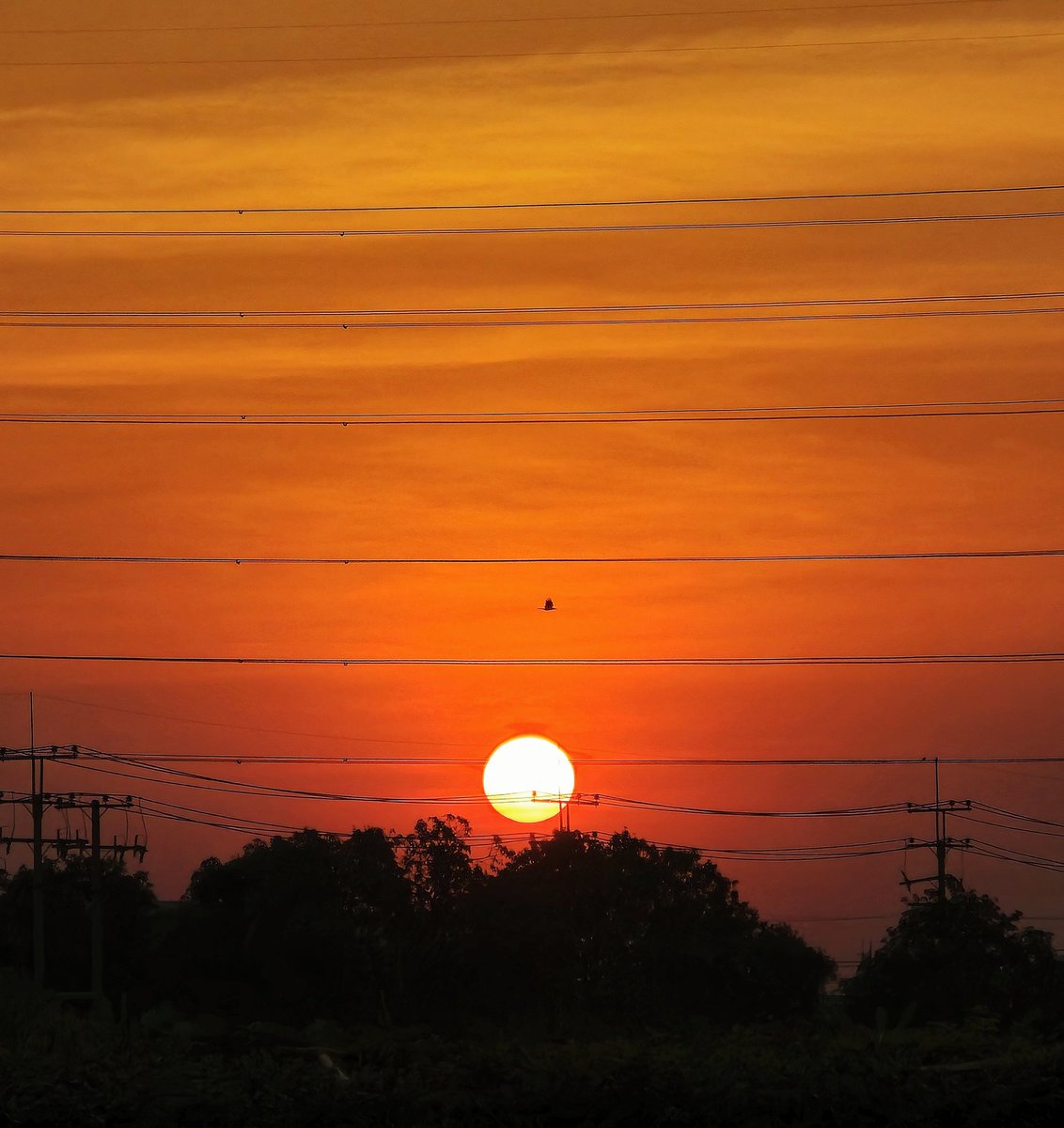 Tawan_V's tweet photo. สายัณห์สวัสดิ์ 🌇
#GalaxyS24Ultra https://t.co/LfBjxcafnc