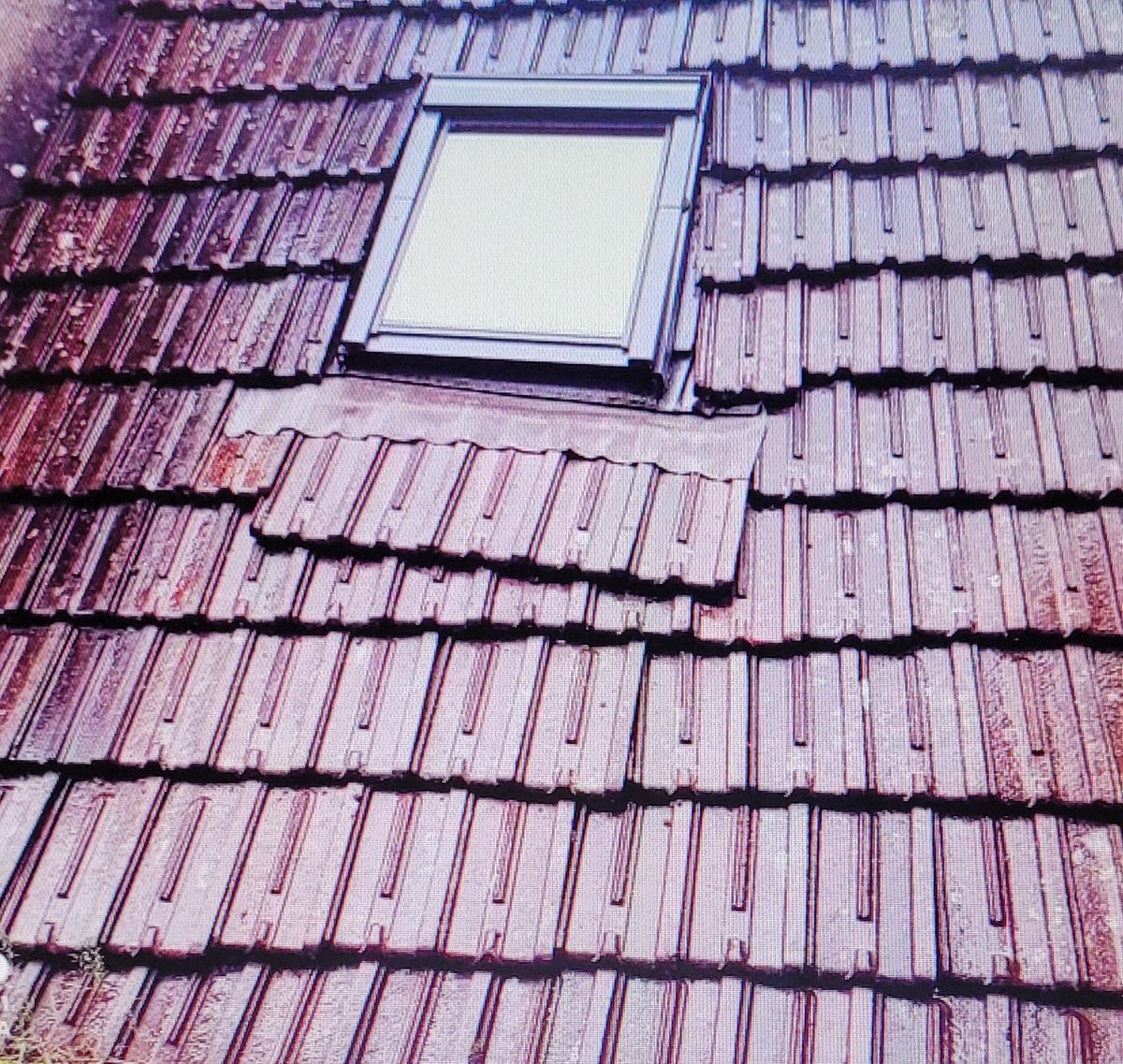 robillard76's tweet image. "Le #soleil se lève tous les matins, même en #Normandie..."© et le #Dimanche , certains débranchent.
Thibaut Martinage parle de #hautniveau (dominical) et en parle(l'illustre) bien.
Je copie de manière totalement éhontée en commençant la série basniveau ...
"J'ai glissé chef..."