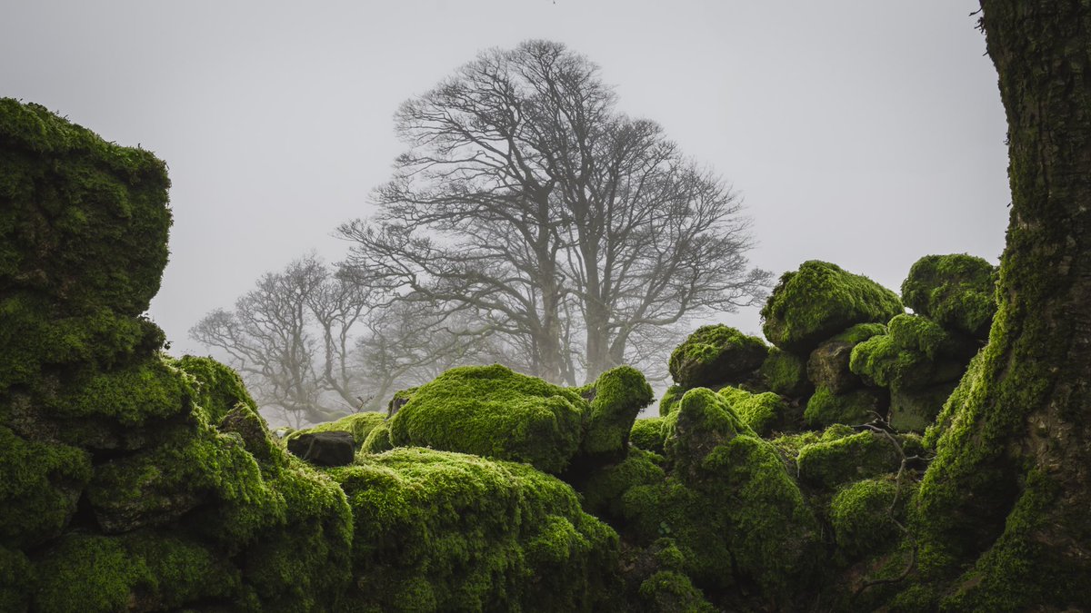 Jim Delling Photography tweet media