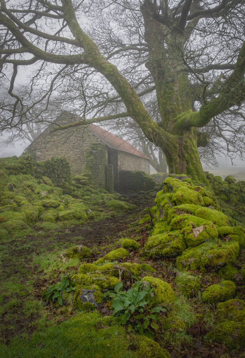 Jim Delling Photography tweet media