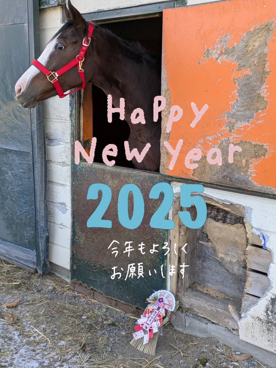 morita_stable's tweet photo. あけましておめでとうございます🎍🐎本年も競走馬たちをどうぞよろしくお願いします

メロディーレーンちゃんは元気です😊 https://t.co/rJEwpiy3b2