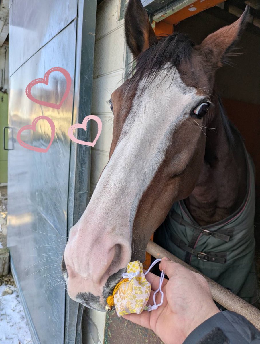 morita_stable's tweet photo. あけましておめでとうございます🎍🐎本年も競走馬たちをどうぞよろしくお願いします

メロディーレーンちゃんは元気です😊 https://t.co/rJEwpiy3b2