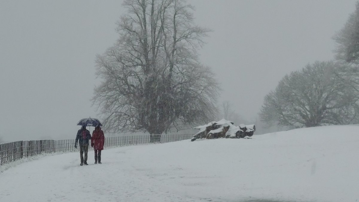 MACMONAGLE's tweet photo. #snowisfalling #killarney https://t.co/LUqokhQGvh