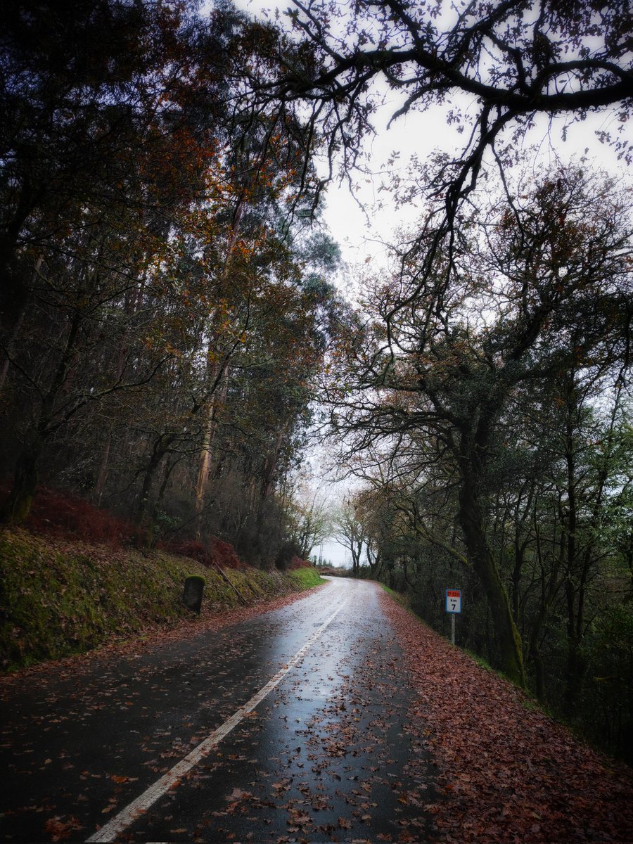 Redmeteo tweet media