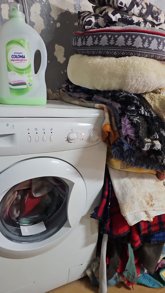 ‼️🚨URGENTE🚨‼️

Se nos ha roto la lavadora y no podemos lavar las mantas y la ropa de los animales 😔

Necesitamos donación de una lavadora de 8kg con urgencia 🙏🏽 

Ayúdanos a difundir para que llegue a más gente, a ver si hay suerte y alguien puede donarla 📢 

Gracias❤️