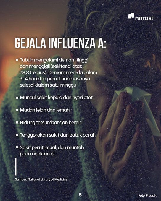 <a href="/catsbutanything/">Cat Lady</a> Silahkan dibaca