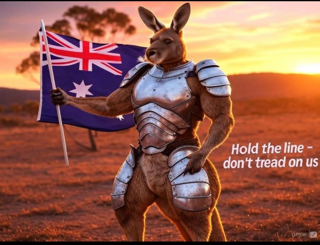 BryceHollins's tweet photo. @AlboMP @patcummins30 Fuckoff Albo you have sold Australia out. #votelaborlast https://t.co/YCTuqEOEIV