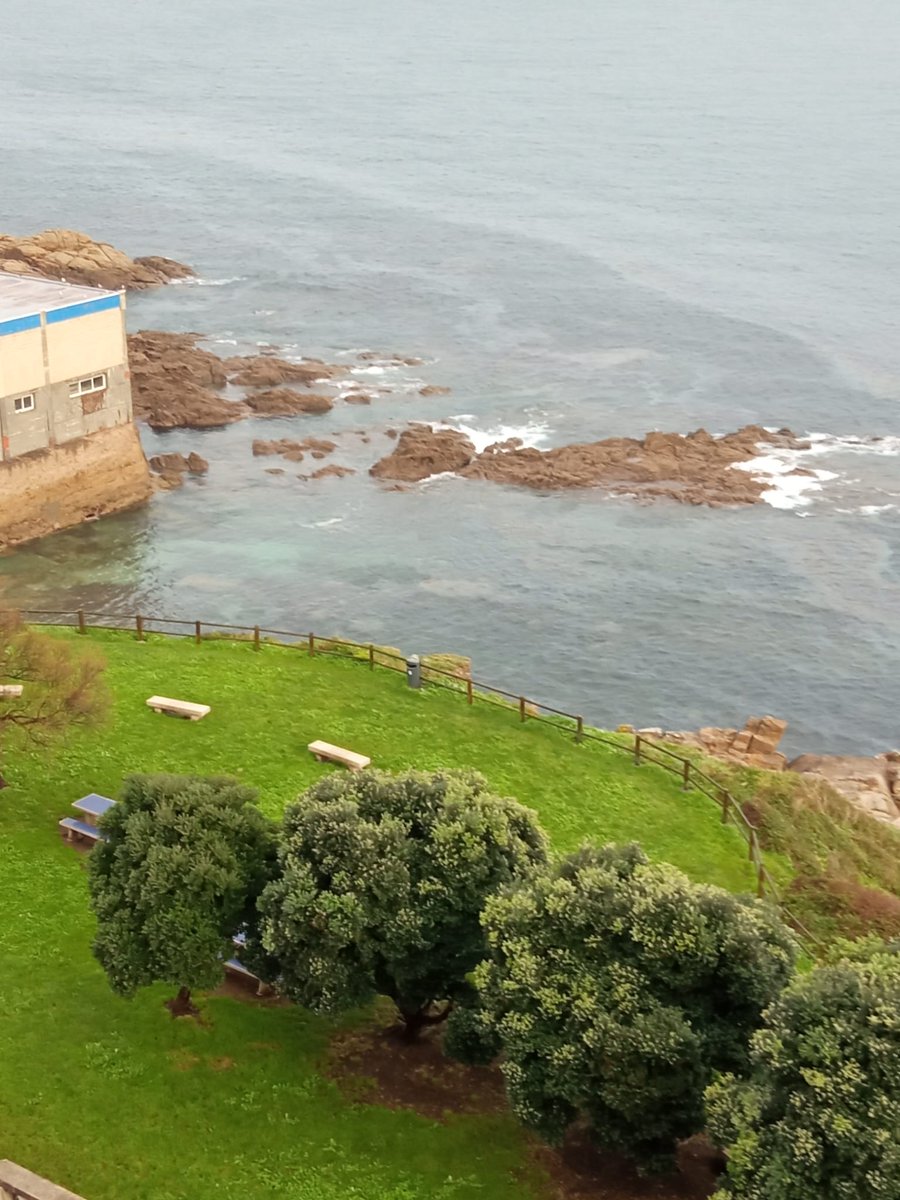 AntonGomezReino's tweet photo. URGENTE!!! Novamente dous dias despois da primeira, unha gran mancha de hidrocarburos agora mesmo na zona de San Roque de Afora. Unha mancha de mais de mil metros. Ule a gasóleo en toda a zona do paseo marítimo. Están os emisarios debidamente controlados? @Xunta @ConcelloCoruna ? https://t.co/qZKHtQmDZs