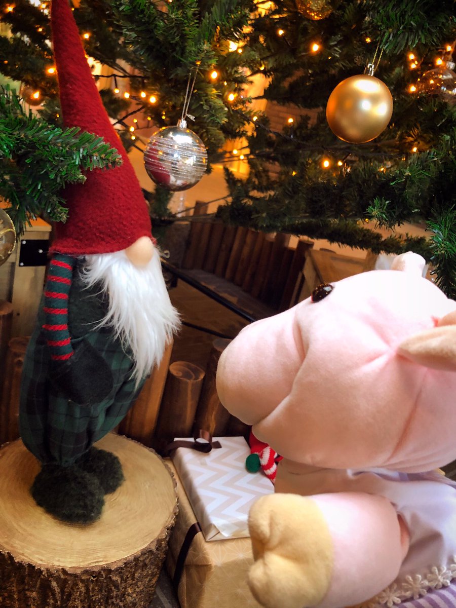 MeguriWorld's tweet photo. クリスマスのめぐりちゃん🐷💕
サンタさんかと思ってプレゼント下さいって話しかけたら、ツリーの見張りをしてくれているこびとのおじさんだった。
人違いしちゃった。恥ずかしいな。

#merrychristmas #メリークリスマス　#クリスマスツリー  #クリスマスオーナメント https://t.co/Q9Dz1ANWro