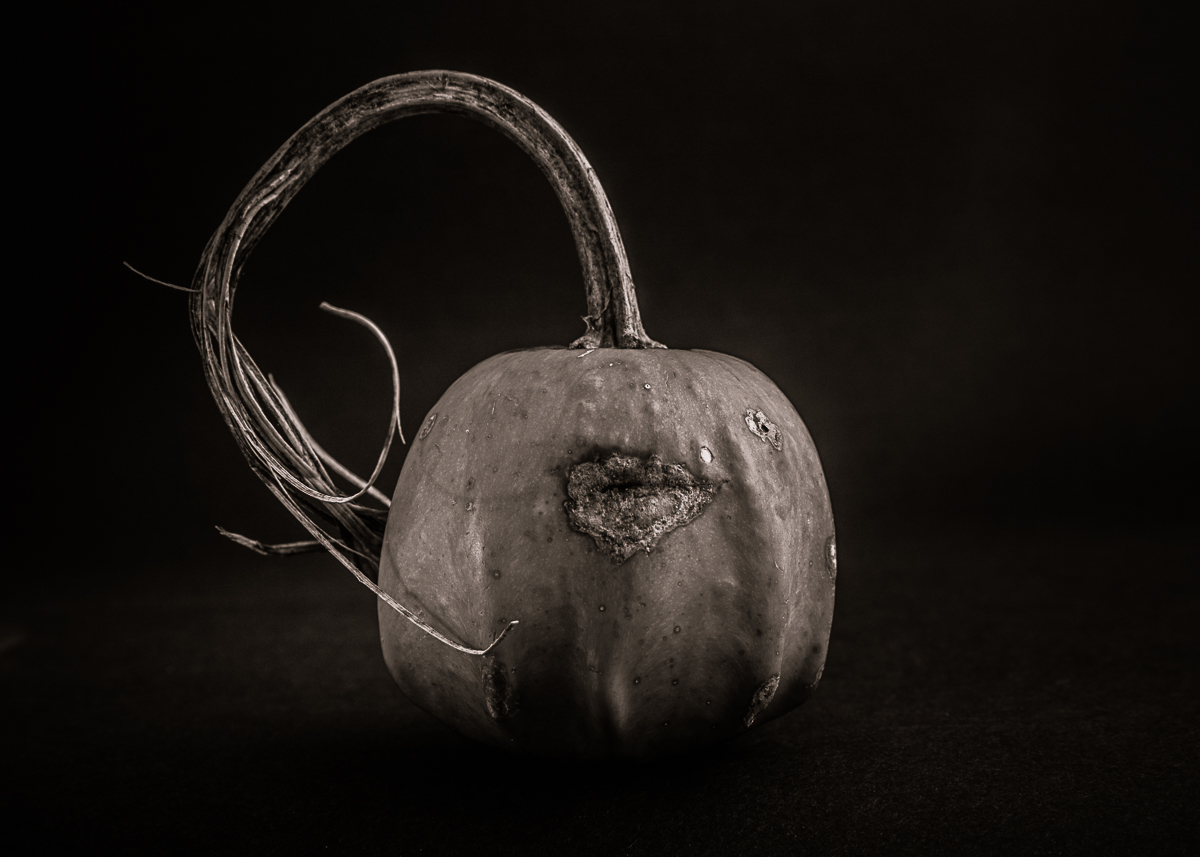 learningcurveca's tweet photo. Gourds No 15
#nature #blackandwhitephotography #bnw_captures #monochrome #noiretblanc #originalphotography #photography #photoproject
https://t.co/72DbBWCkvM https://t.co/DUbcKpsGQZ