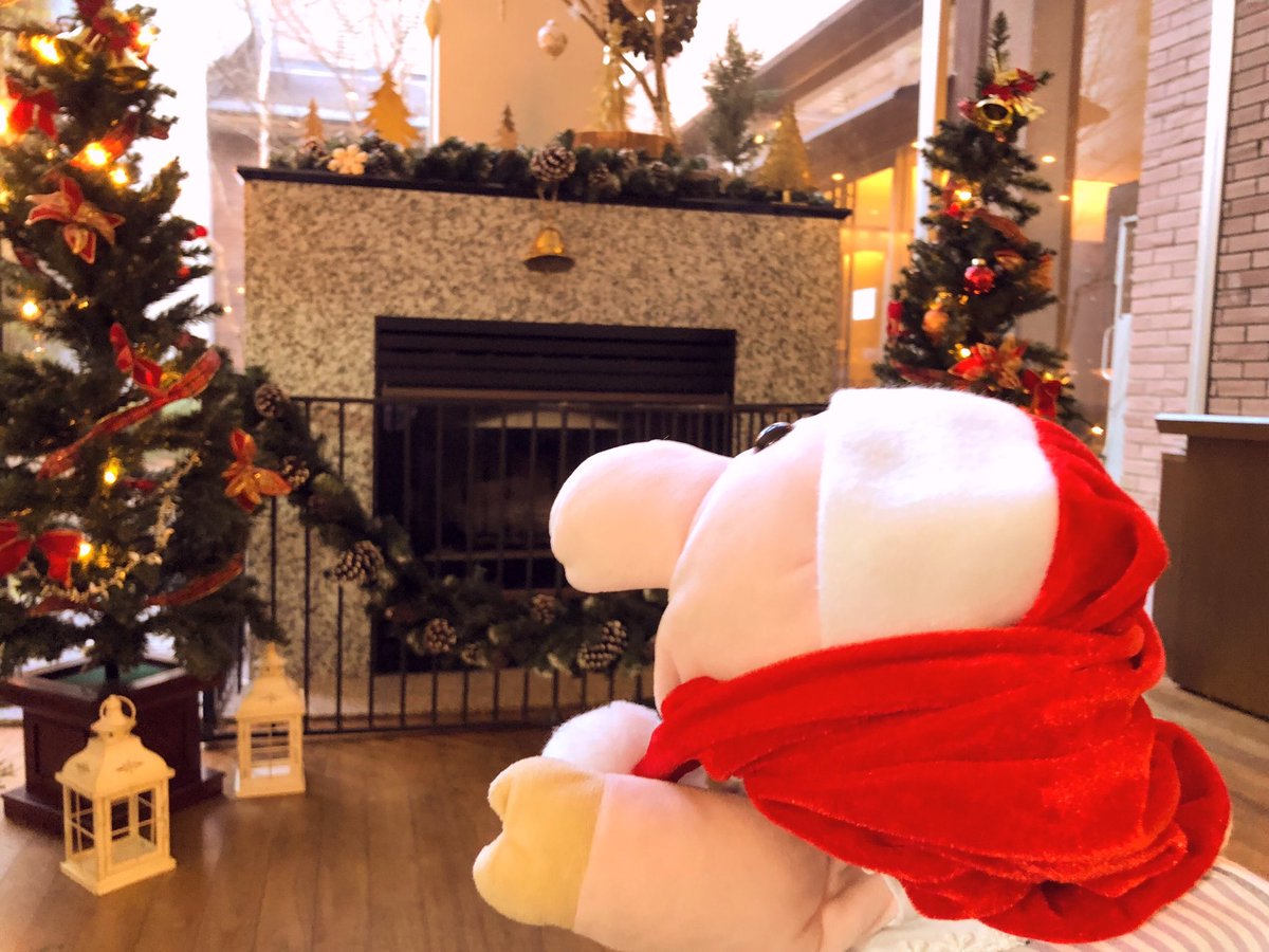 MeguriWorld's tweet photo. おめめキラキラめぐりちゃんサンタ🐷💕
メリークリスマス💕

#merrychristmas #メリークリスマス #クリスマスツリー https://t.co/IV8IplSmhr