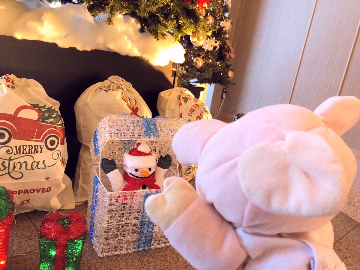 MeguriWorld's tweet photo. おめめキラキラめぐりちゃんサンタ🐷💕
メリークリスマス💕

#merrychristmas #メリークリスマス #クリスマスツリー https://t.co/IV8IplSmhr