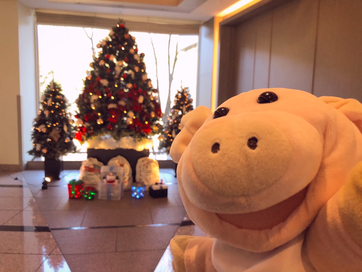 MeguriWorld's tweet photo. おめめキラキラめぐりちゃんサンタ🐷💕
メリークリスマス💕

#merrychristmas #メリークリスマス #クリスマスツリー https://t.co/IV8IplSmhr