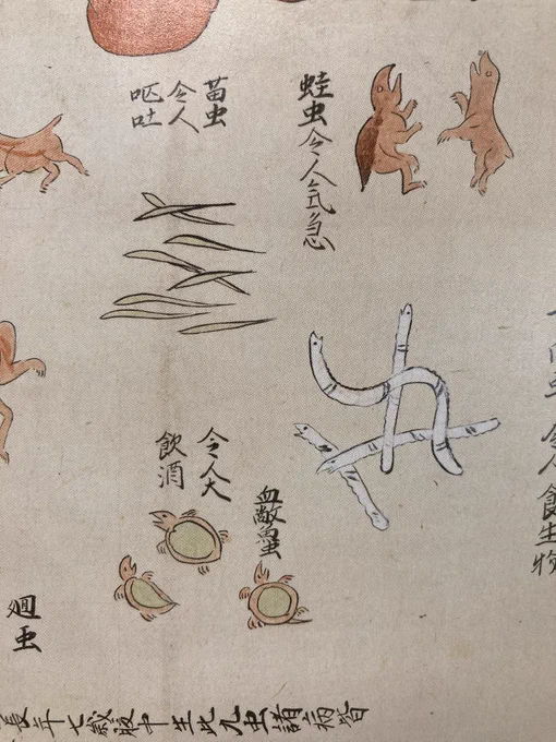 今月の芸術新潮に載ってた『内景図』の虫たち
身体に悪さをする奴らなのにちょっとかわいい 