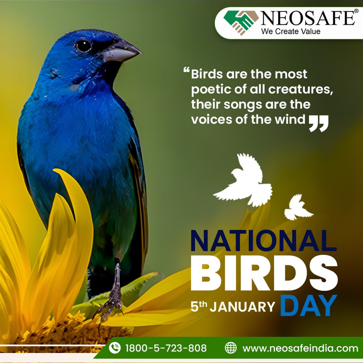 NeosafeChemical's tweet photo. 🌳🦩 Cherish the Chirp, Protect the Perch! 🐤🌍 This National Birds Day, take a moment to admire these wonders of nature and pledge to protect their habitats. 🌸🌿 Every feather tells a story—let's keep it alive! ✨🕊️
.
.
#Neosafe #NeosafeChemicals #NeosafeIndia #Agriculture https://t.co/3qP0acR9e3