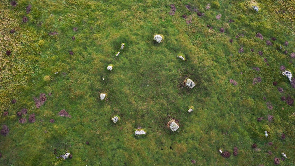 Forest:Archaic Collective tweet media