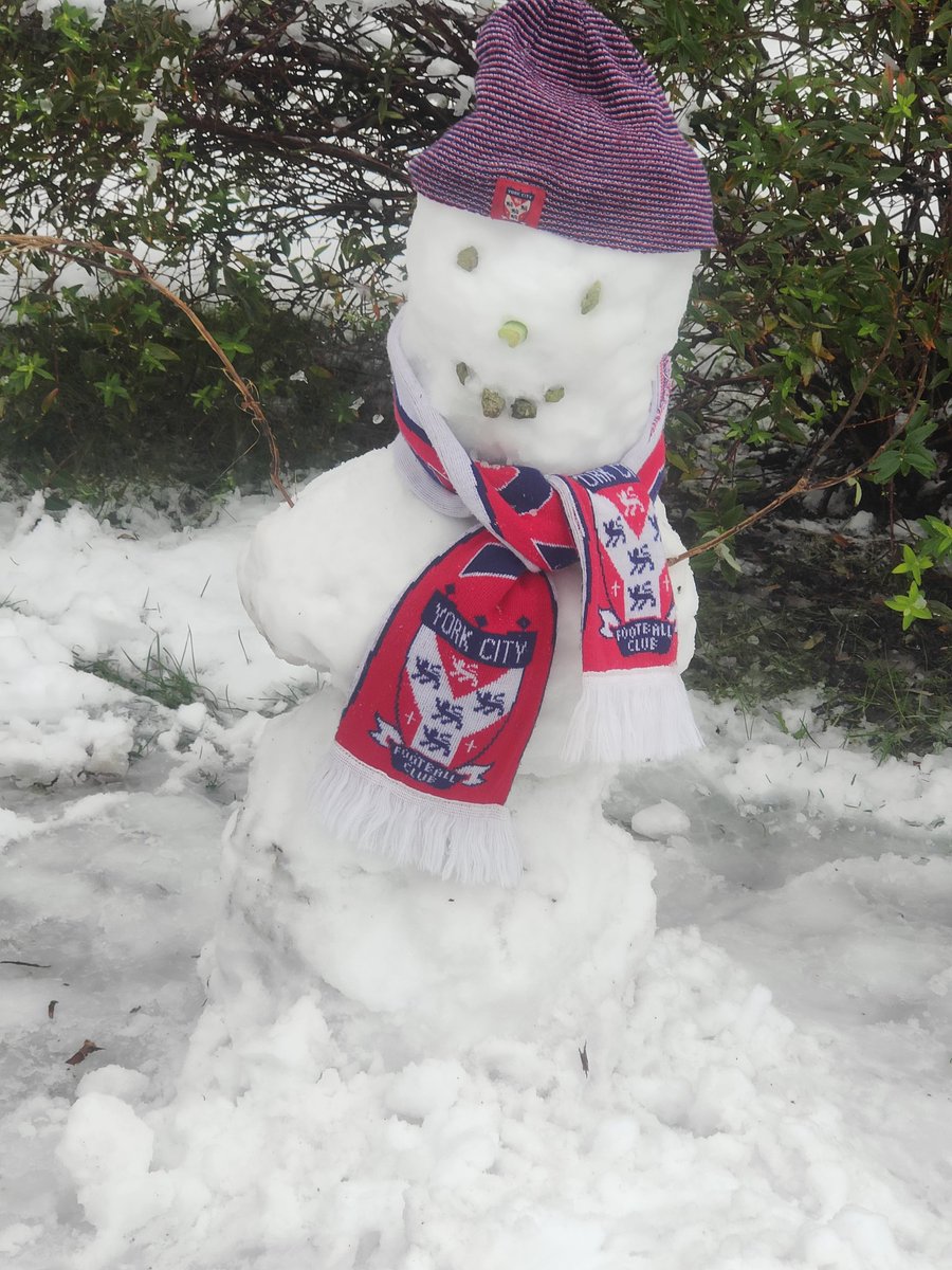 dickie22's tweet photo. Come to my house you have to support Ycfc https://t.co/97j4fdsjIe