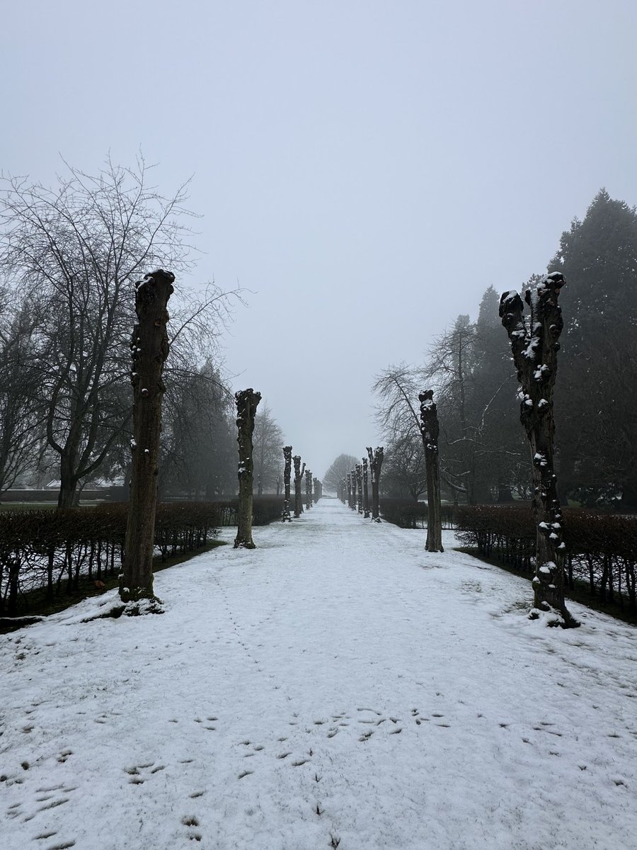 This morning, at ⁦<a href="/AlthorpHouse/">Althorp</a>⁩