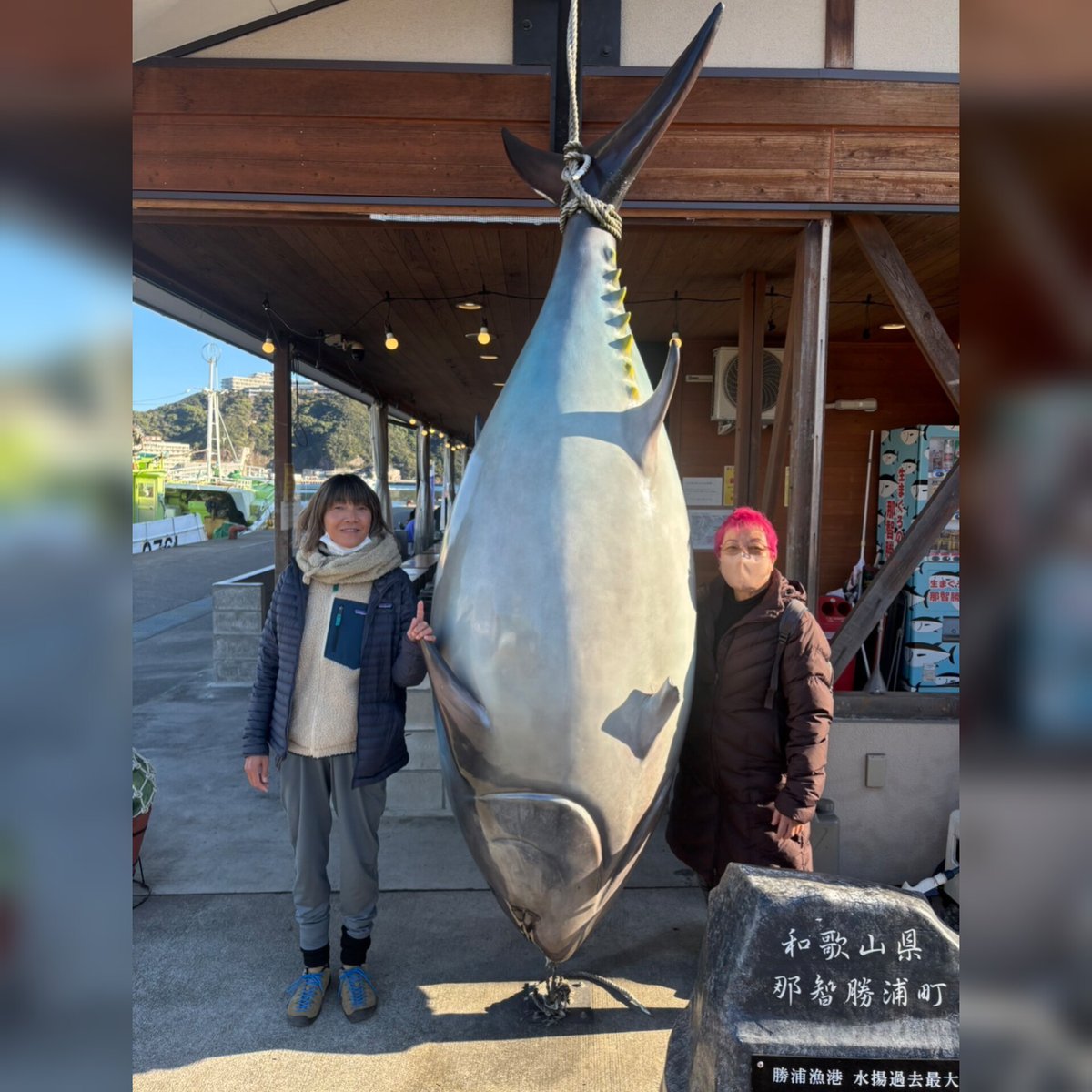 float_fuji_sup's tweet photo. 新年明けまして‥
おめでとうございます🐍
今年も宜しくお願いいたします。
2025年も!良い風🍃良い波🌊良い景色🍀楽しめますよーに❤️💛💚💙💗
#謹賀新年 #自然 #運動 #遊ぶ #楽しむ #海 #絶景 #nature #sports #nsp #nspjp #ocean #float_fuji_sup #floatfuji #beautifulday https://t.co/0Mi92Lul3Q