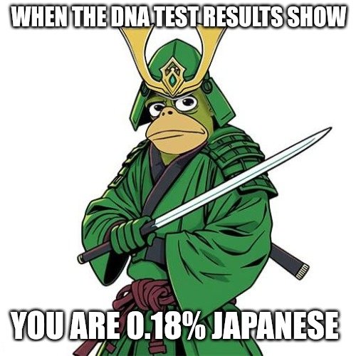 PONKOalgo's tweet photo. 49.91% PEPE 49.91% MONKO 0.18% SAMURAI #PONKO #MONKO https://t.co/K9NTXMtfAA