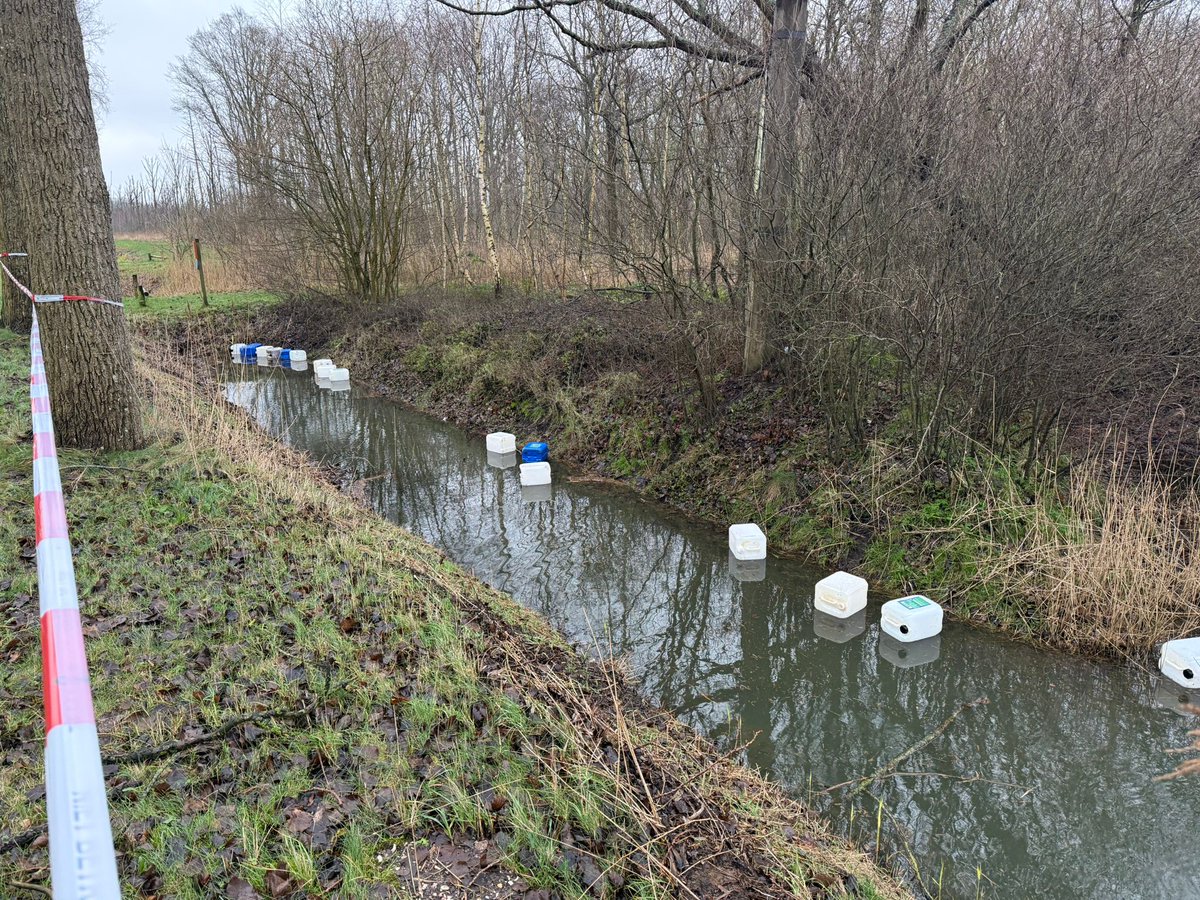 WA_Niedorp's tweet photo. Afgelopen nacht een vuildumping geweest Sluisgatweg Robbenoordbos in Wieringerwerf. 
Chemische vaten liggen in de berm en in de sloot
Onderzoek loopt naar de herkomst, inhoud en of de bodem is vervuild. 
Heeft u iets gehoord of gezien? Graag 0900-8844.

#vuildumping #onderzoek https://t.co/VBr6RK9wnC