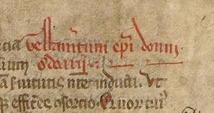 CMedievales's tweet photo. En este trabajo comparto una propuesta metodológica para la investigación de los #cartulariosmedievales a partir de nuestra experiencia en el estudio del "#Tumbo Viejo" de la catedral de Lugo, manuscrito del siglo XIII
AHN,L.1043
📌https://t.co/nV2N9HmGoy https://t.co/S4VrXfhmQ4