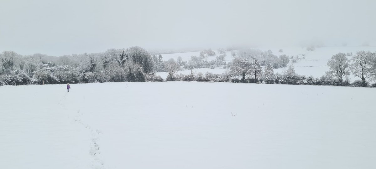 Áine Sheehan tweet media