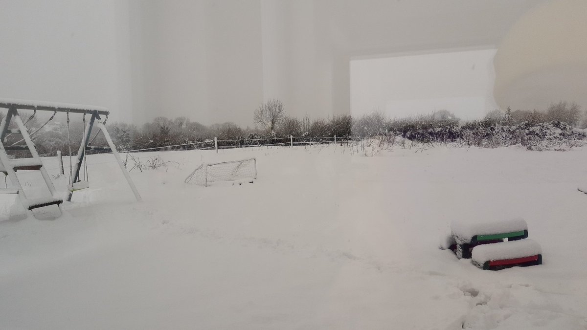 Áine Sheehan tweet media