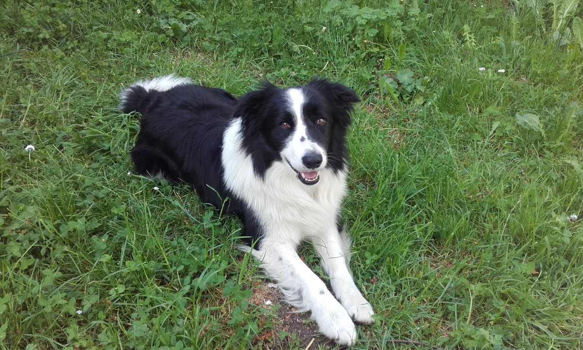 Feldspath tweet media