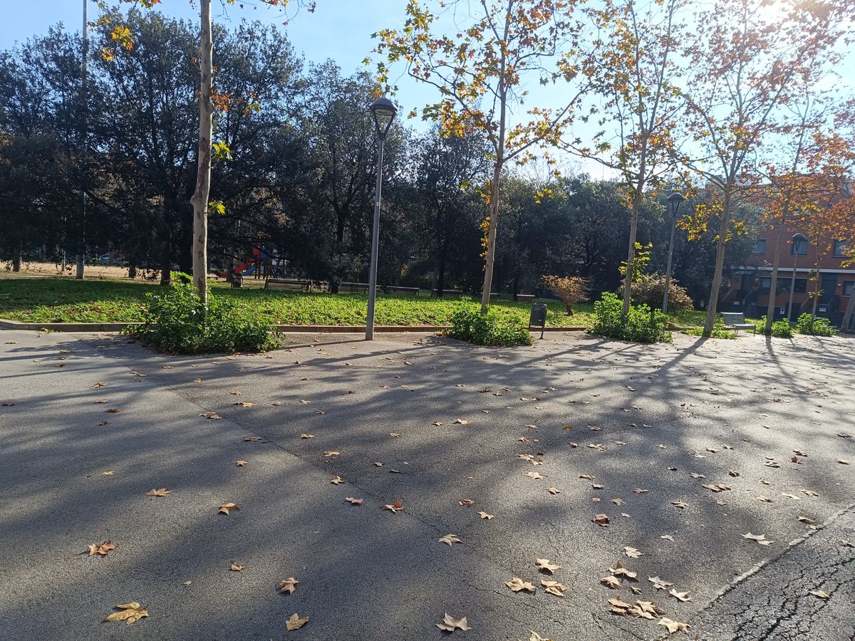 Integració Ronda Sud tweet media