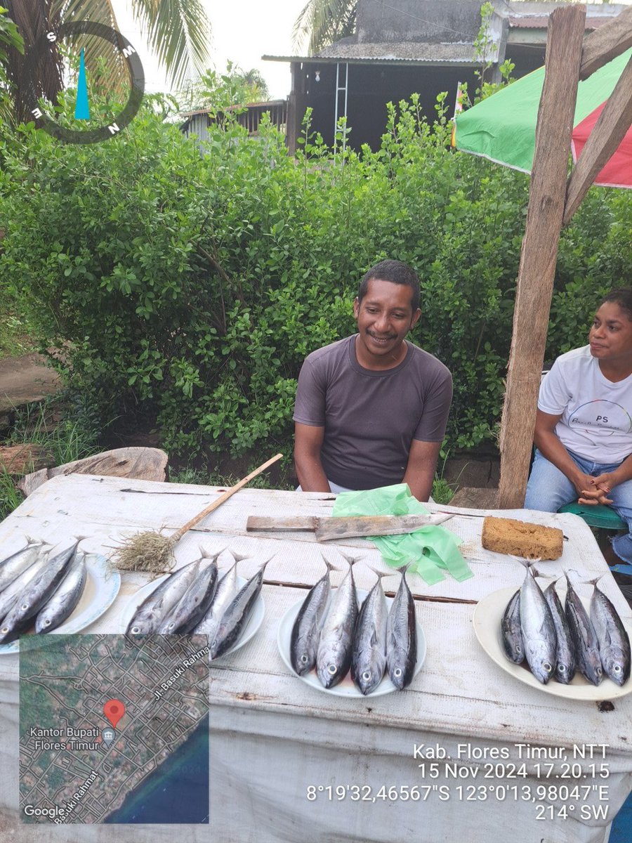 YohMariaVianei's tweet photo. Jumad (15/11/2024), Yoh Maria  Vianei Keni Bolen, Luhkan Flores Timur, di pemasar ikan An. Hironimua Dz, asal Kelurahan Waihali, Kec. Larantuka, mendata produksi ikan tongkol, sebanyak 50 kg, harga Rp. 15.000-25.000/Kg
#GiatLuhkanSatminkalGondol 
#Flotim #Produksi https://t.co/njjtngwWYS