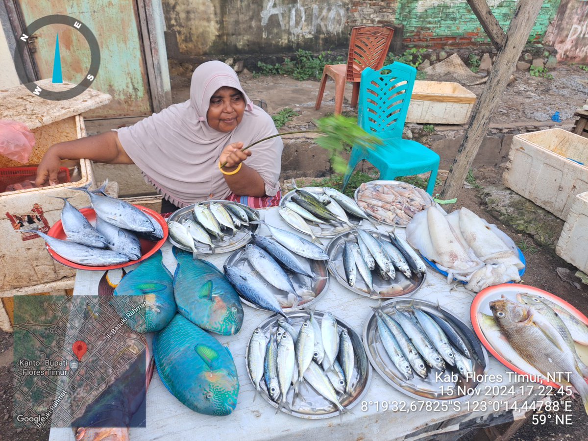 YohMariaVianei's tweet photo. Jumad (15/11/2024), Yoh Maria  Vianei Keni Bolen, Luhkan Flores Timur, di pemasar ikan An. Subaida Uran, asal Kelurahan Ekasapta, Kec. Larantuka, mendata produksi ikan tongkol, layang, cumi, sebanyak 70 kg, harga Rp. 20.000-50.000/Kg
#GiatLuhkanSatminkalGondol 
#Flotim #Produksi https://t.co/XYGSP4MBPh