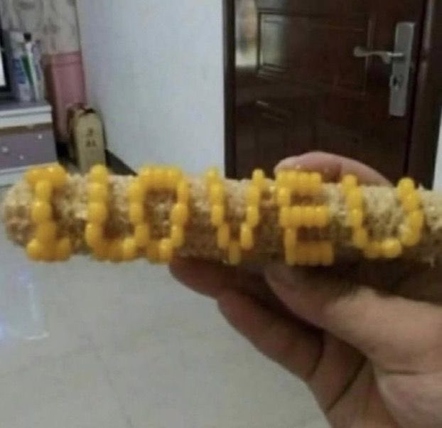 나는 새삭 (@saesak416) on Twitter photo 