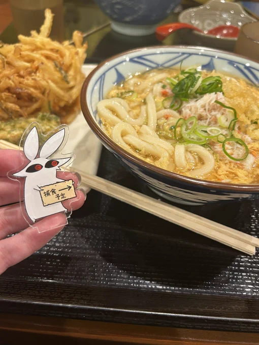 オウドンダヨニンゲンチャン 