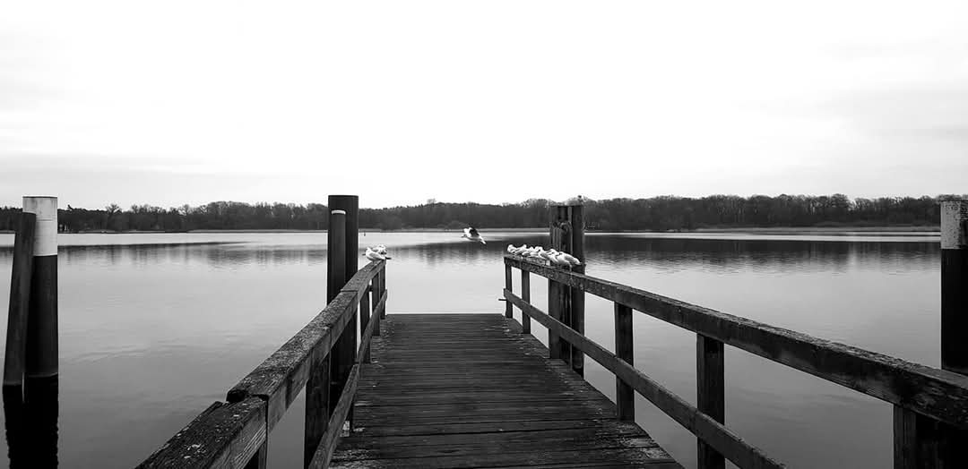 Hans-Georg Kauert tweet media