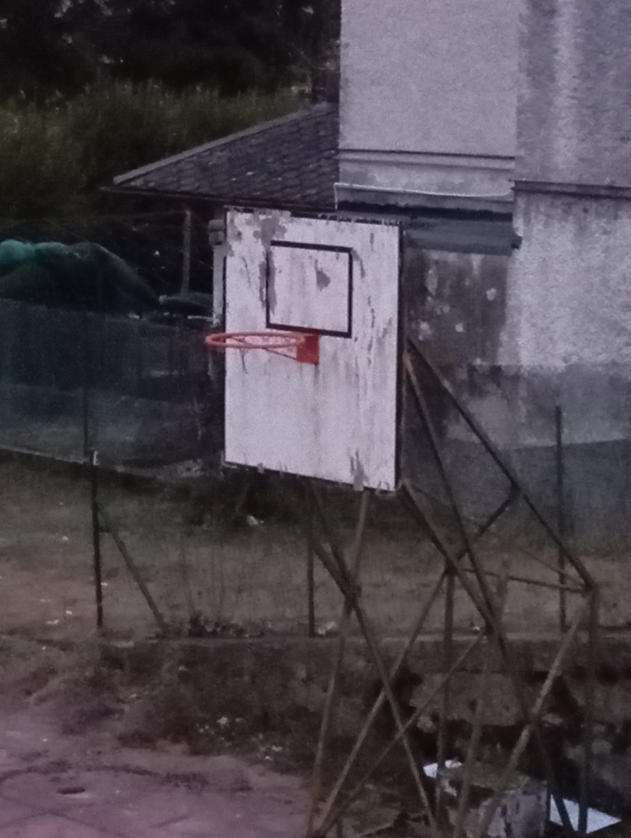 La Giornata Tipo tweet media