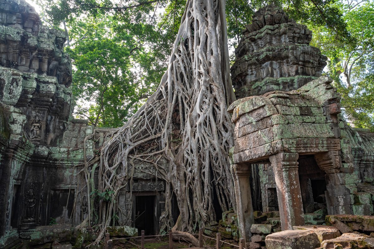 ObjektivCT's tweet photo. Angkor v Kambodži - jeden z největších a nejpůsobivějších náboženských komplexů na světě. Jako by se tu zastavil čas, ale i díky davům turistů to tady stále žije.
https://t.co/PzfTiORF85
Foto: Michal Gálik https://t.co/7g58JfeaFx