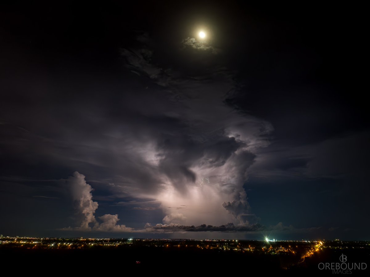 Jason H (AU) 🇦🇺 tweet media