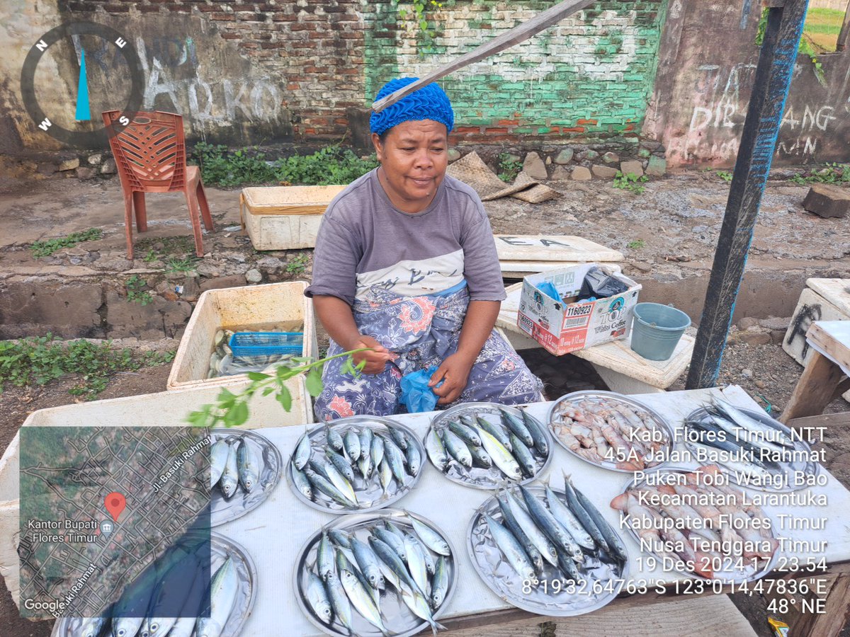 YohMariaVianei's tweet photo. Kamis (19/12/2024), Yoh Maria  Vianei Keni Bolen, Luhkan Flores Timur, di pemasar ikan An. Kalsum L, asal Kelurahan Ekasapta, Kec. Larantuka, mendata produksi ikan layang, kembung, sebanyak 60 kg, harga Rp. 20.000-30.000/Kg
#GiatLuhkanSatminkalGondol 
#Flotim #Produksi https://t.co/S3To9uK3v4