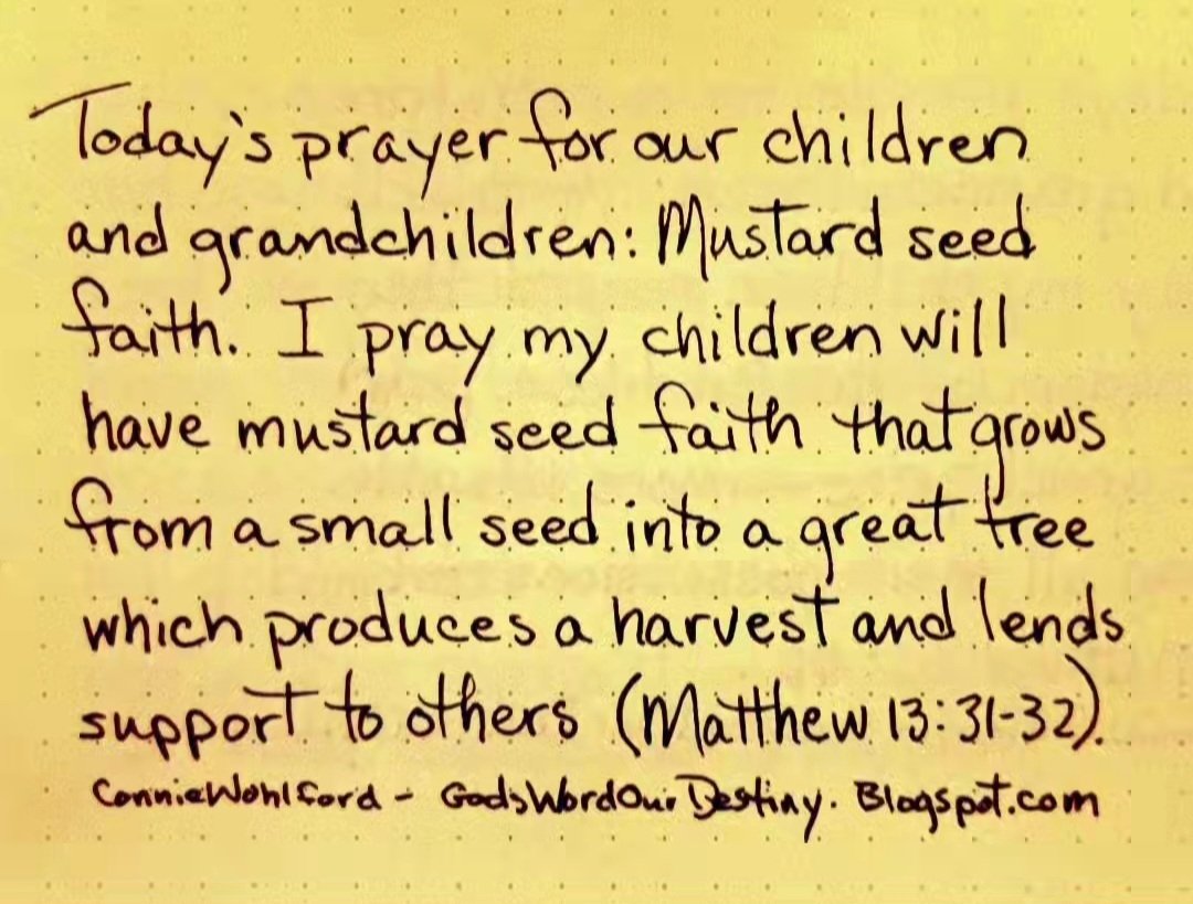 wohlford_connie's tweet photo. Today for our #children and #grandchildren: mustard seed faith.
#mustardseedfaith #seed #GodsWordOurDestiny #mustardseed #faith #prayforchildren #tree #growingfaith #harvest #support #others https://t.co/exXzjjo2ek https://t.co/RSJpRZThay