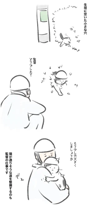 現場監督猫の仕事風景。 