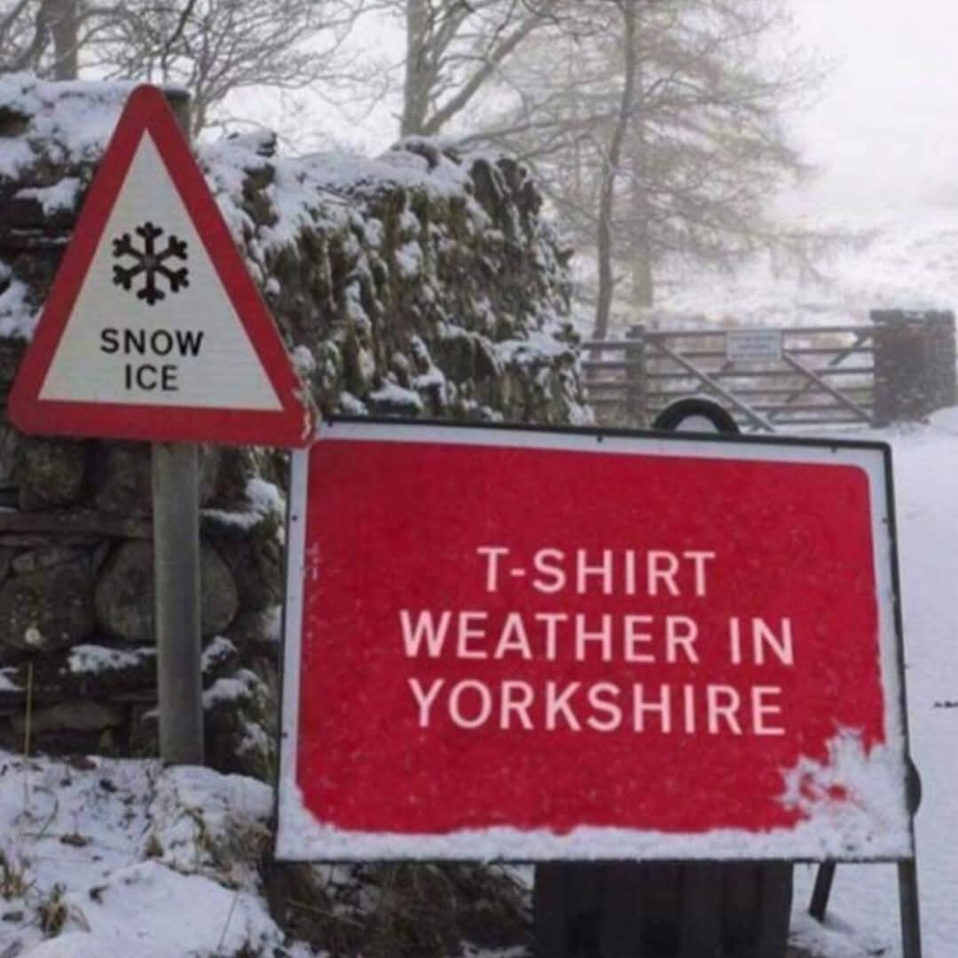 Meryl White tweet media