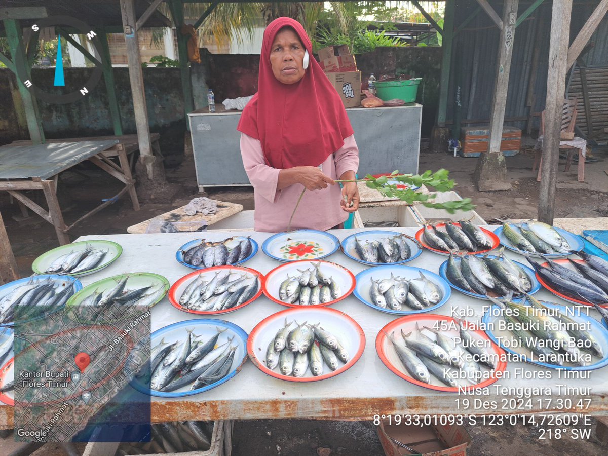 YohMariaVianei's tweet photo. Kamis (19/12/2024), Yoh Maria  Vianei Keni Bolen, Luhkan Flores Timur, di pemasar ikan An. Nur Ahmad, asal Kelurahan Ekasapta, Kec. Larantuka, mendata produksi ikan layang, kembung, sebanyak 100 kg, harga Rp. 20.000-35.000/Kg
#GiatLuhkanSatminkalGondol 
#Flotim #Produksi https://t.co/bovy48pWiW