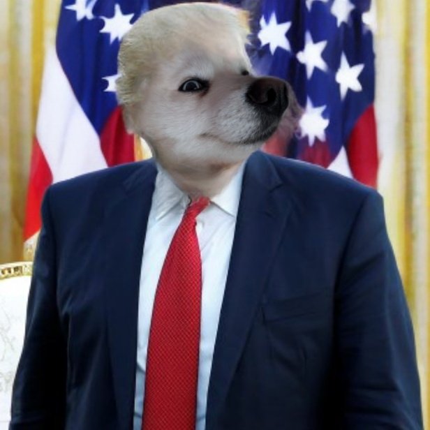 NikoTrump_'s tweet photo. @TheGiftPrincess @fuckybara @NikoTrump_ https://t.co/fQGAUQPKdb